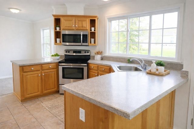 30 Edgestone Drive 30, Bridgewater, MA 02324