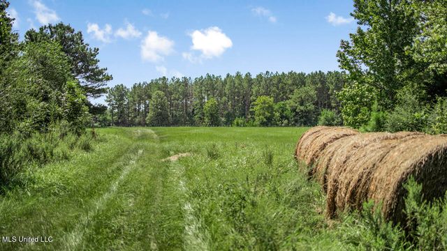 3088 Terrys Creek Road Road, Magnolia, MS 39652