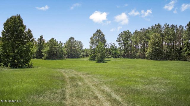 3088 Terrys Creek Road Road, Magnolia, MS 39652