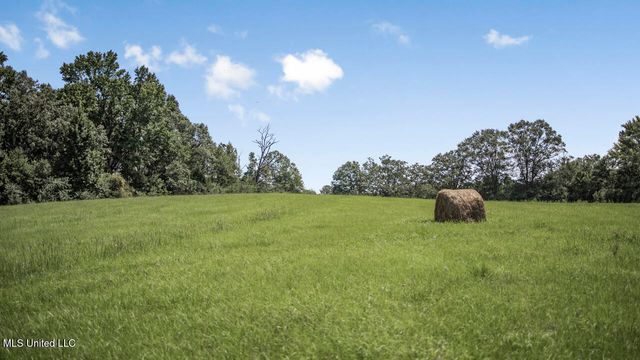 3088 Terrys Creek Road Road, Magnolia, MS 39652
