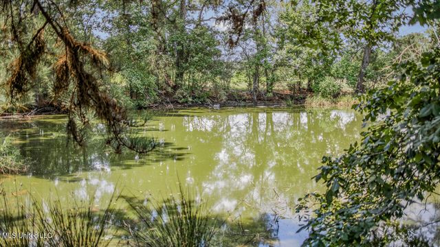3088 Terrys Creek Road Road, Magnolia, MS 39652