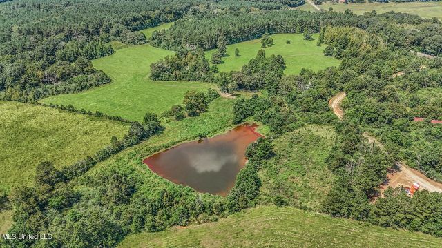 3088 Terrys Creek Road Road, Magnolia, MS 39652