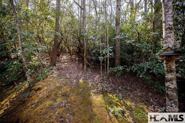 1524 McCall Road, Cashiers, NC 28717