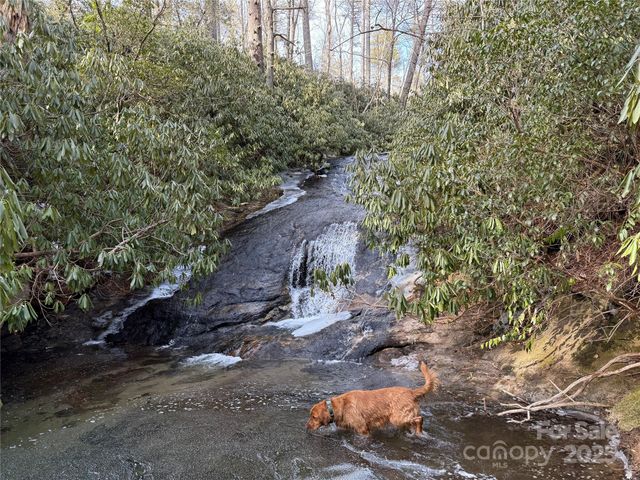 1524 McCall Road, Cashiers, NC 28717