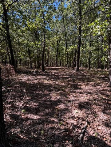 293 CR 315, Eureka Springs, AR 72632