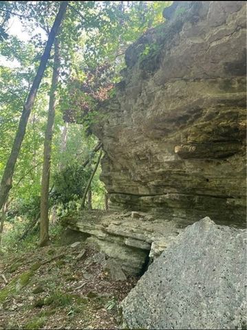 293 CR 315, Eureka Springs, AR 72632