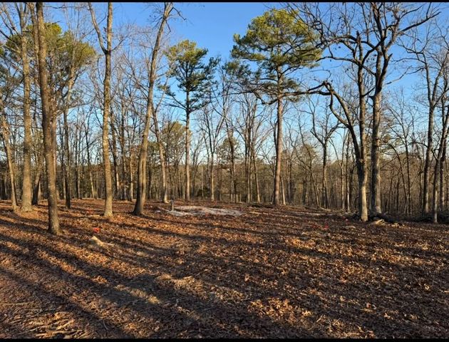 293 CR 315, Eureka Springs, AR 72632