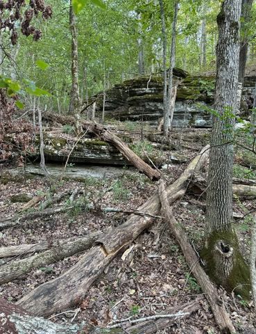293 CR 315, Eureka Springs, AR 72632