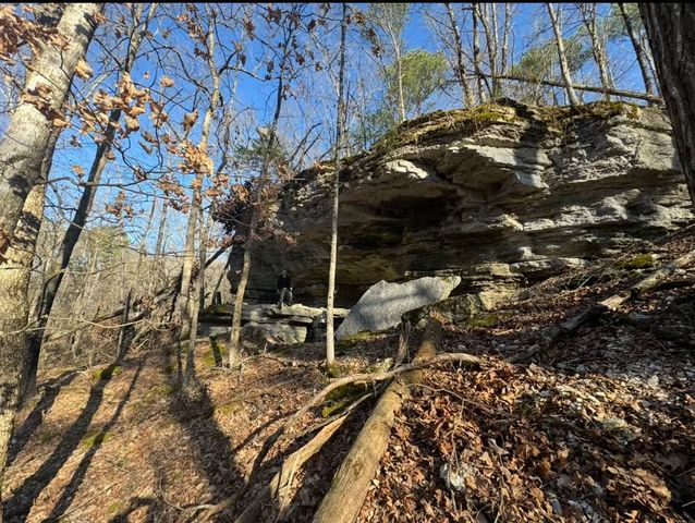 293 CR 315, Eureka Springs, AR 72632