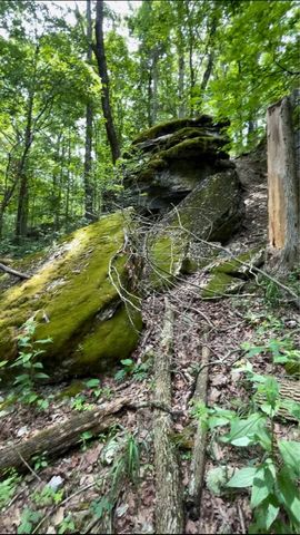 293 CR 315, Eureka Springs, AR 72632