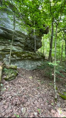 293 CR 315, Eureka Springs, AR 72632