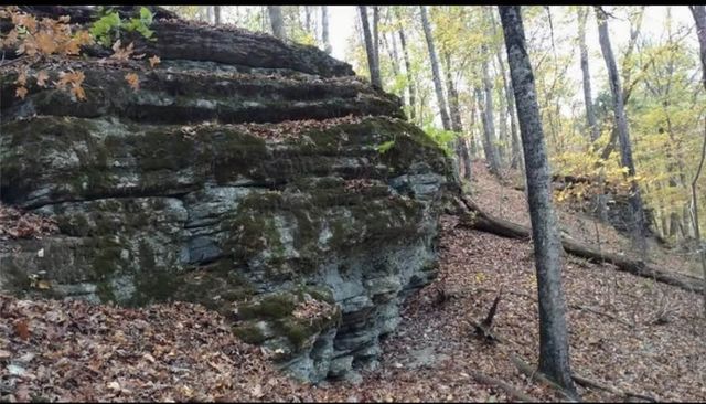 293 CR 315, Eureka Springs, AR 72632