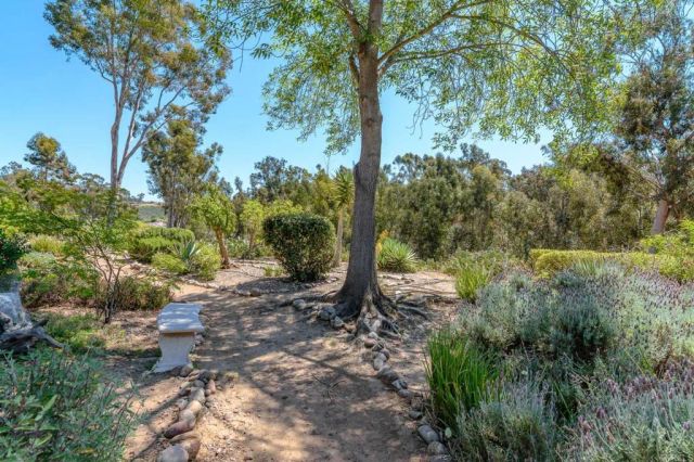 10304 Spruce Grove Ave, San Diego, CA 92131