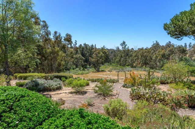 10304 Spruce Grove Ave, San Diego, CA 92131