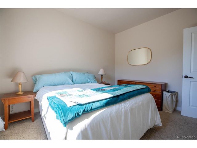 124 Meadow Ln, Buena Vista, CO 81211