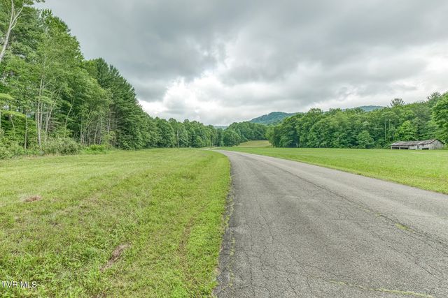 1678 Sluder Road, Shady Valley, TN 37688