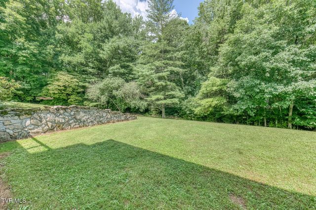 1678 Sluder Road, Shady Valley, TN 37688
