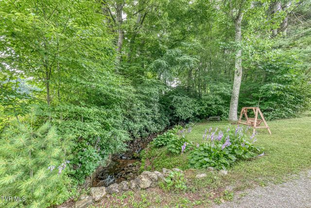 1678 Sluder Road, Shady Valley, TN 37688