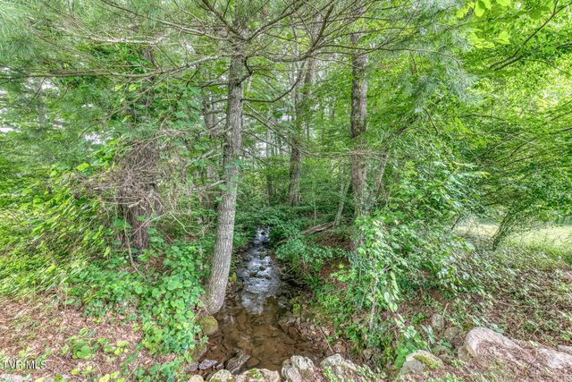 1678 Sluder Road, Shady Valley, TN 37688