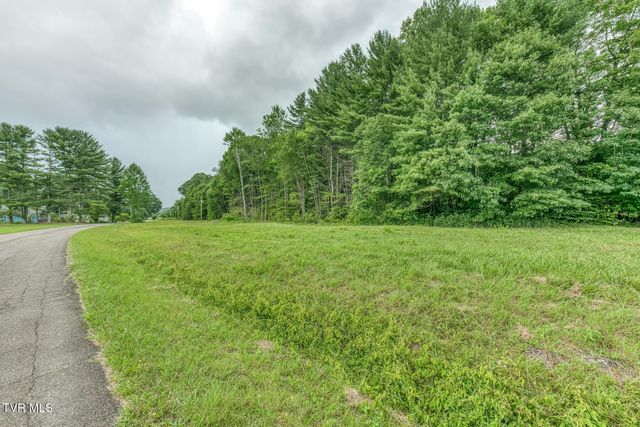 1678 Sluder Road, Shady Valley, TN 37688