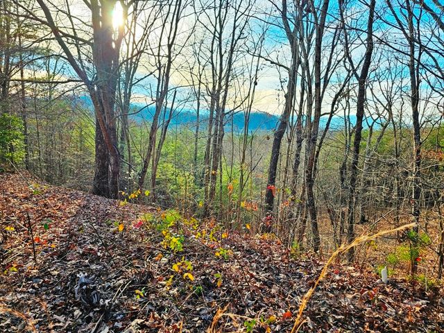 270 Graystone Drive, Murphy, NC 28906