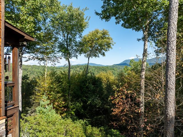 43 Tunica Lane, Ellijay, GA 30540