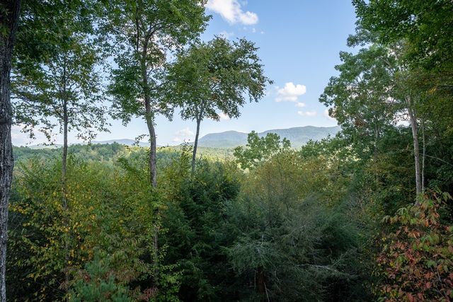 43 Tunica Lane, Ellijay, GA 30540