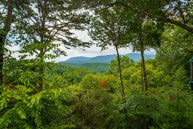 43 Tunica Lane, Ellijay, GA 30540