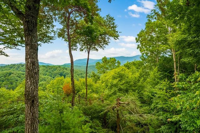 43 Tunica Lane, Ellijay, GA 30540