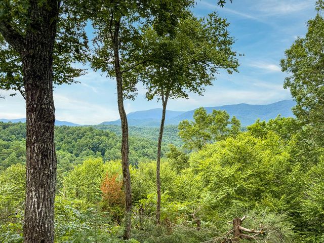43 Tunica Lane, Ellijay, GA 30540