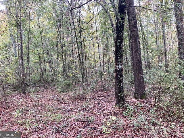 378 Lawton Road, Sylvania, GA 30467