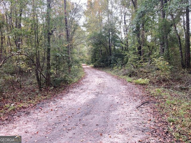 378 Lawton Road, Sylvania, GA 30467