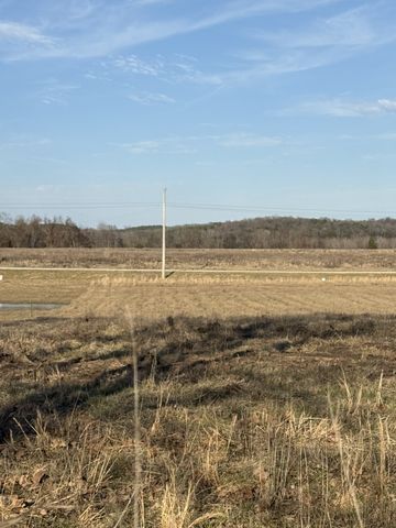 415 Hardin Bottom Rd, Clifton, TN 38425