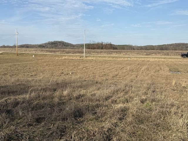 415 Hardin Bottom Rd, Clifton, TN 38425