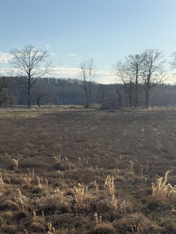 415 Hardin Bottom Rd, Clifton, TN 38425