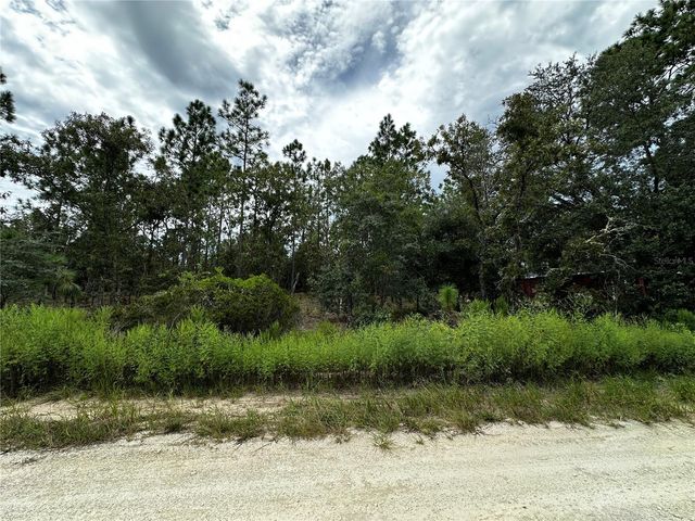 0000 NE 149TH COURT, Williston, FL 32696