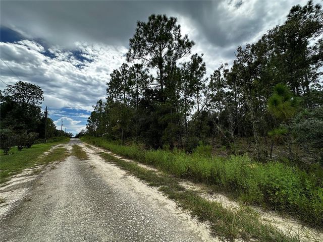 0000 NE 149TH COURT, Williston, FL 32696