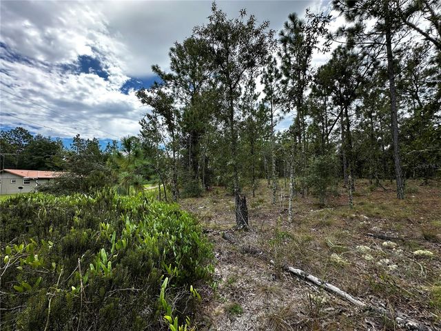0000 NE 149TH COURT, Williston, FL 32696