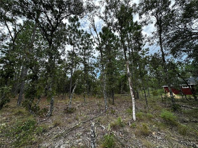 0000 NE 149TH COURT, Williston, FL 32696