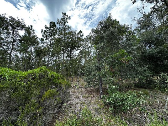 0000 NE 149TH COURT, Williston, FL 32696