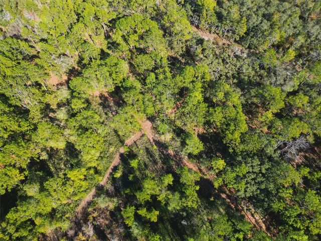 9115 S SUNCOAST BLVD, Homosassa, FL 34446