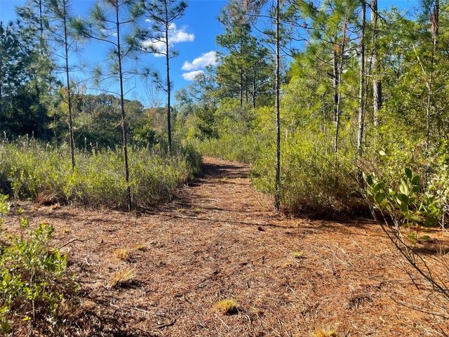 9115 S SUNCOAST BLVD, Homosassa, FL 34446