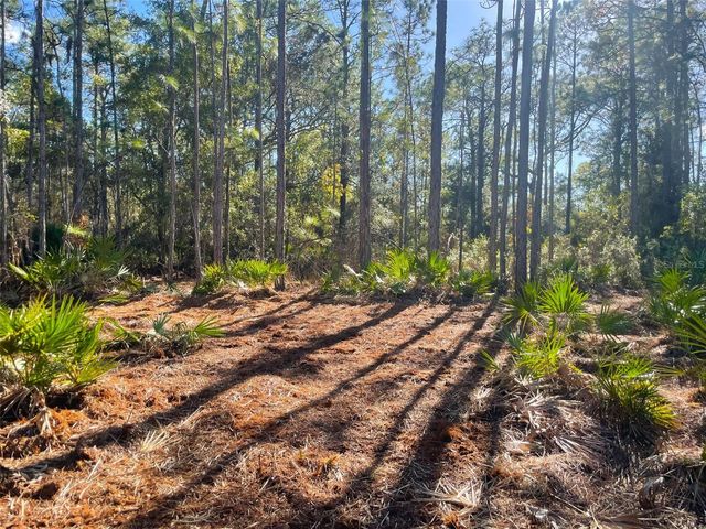 9115 S SUNCOAST BLVD, Homosassa, FL 34446