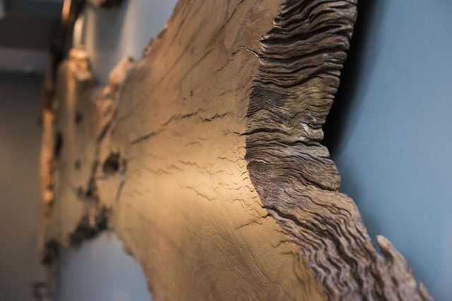 128 Columbus Street 1b, Charleston, SC 29403