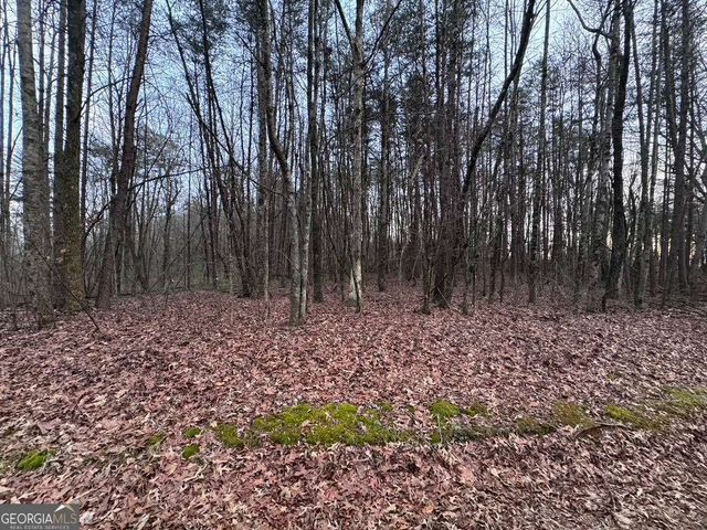 202 Emma Terrace, Dawsonville, GA 30534