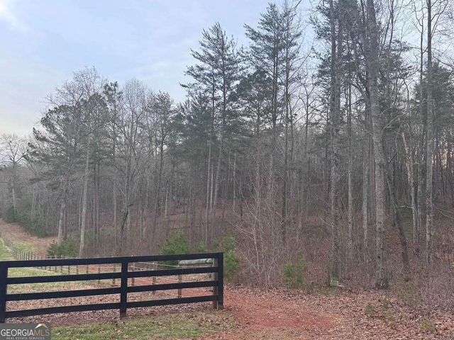 202 Emma Terrace, Dawsonville, GA 30534