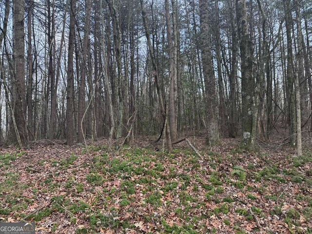 202 Emma Terrace, Dawsonville, GA 30534