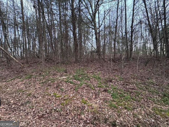 202 Emma Terrace, Dawsonville, GA 30534