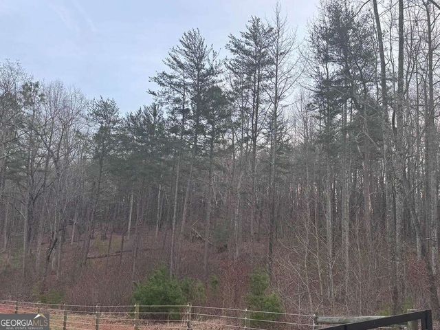 202 Emma Terrace, Dawsonville, GA 30534