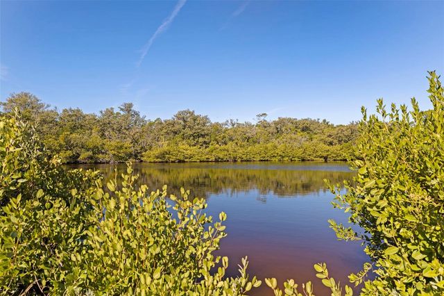 2000 BAYVIEW DRIVE, Tierra Verde, FL 33715